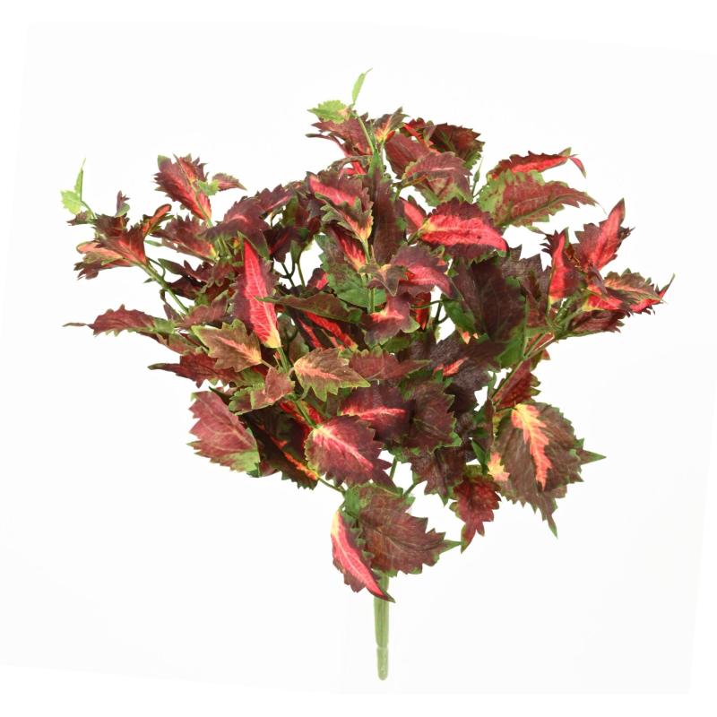 Coleus Artificiel Dentelle