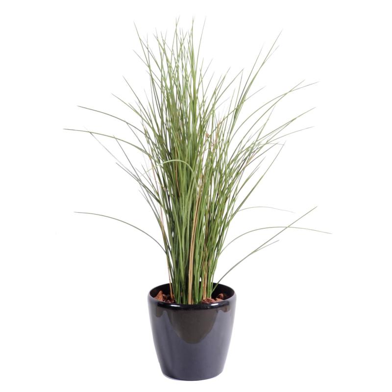 Herbe Artificielle Honey Grass