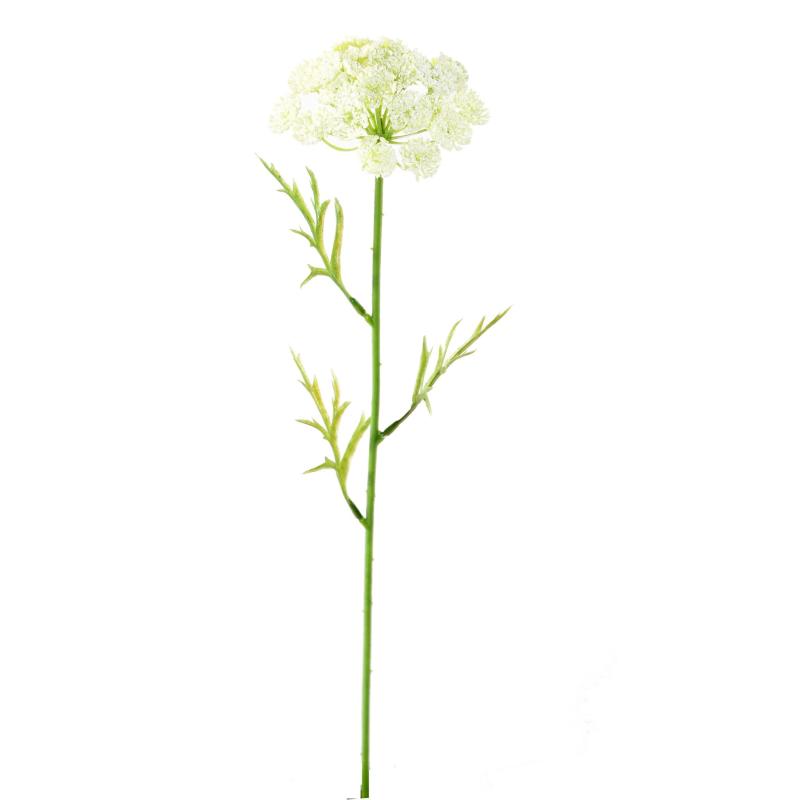 Daucus Artificiel