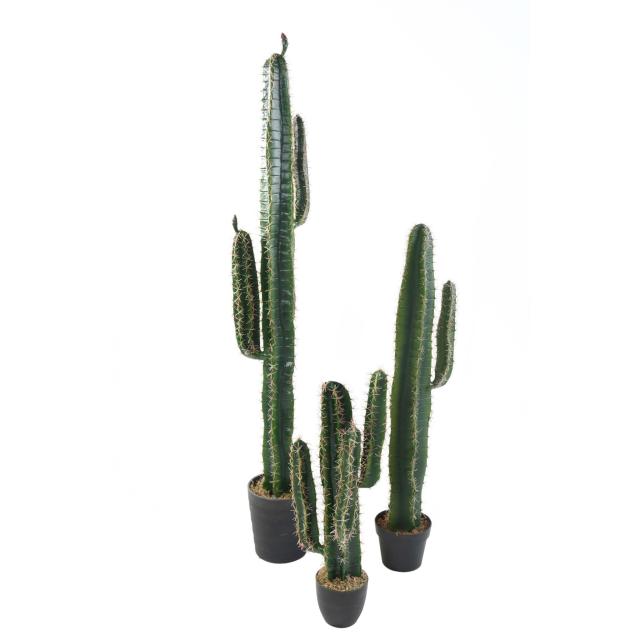 Cactus Artificiel Cereus