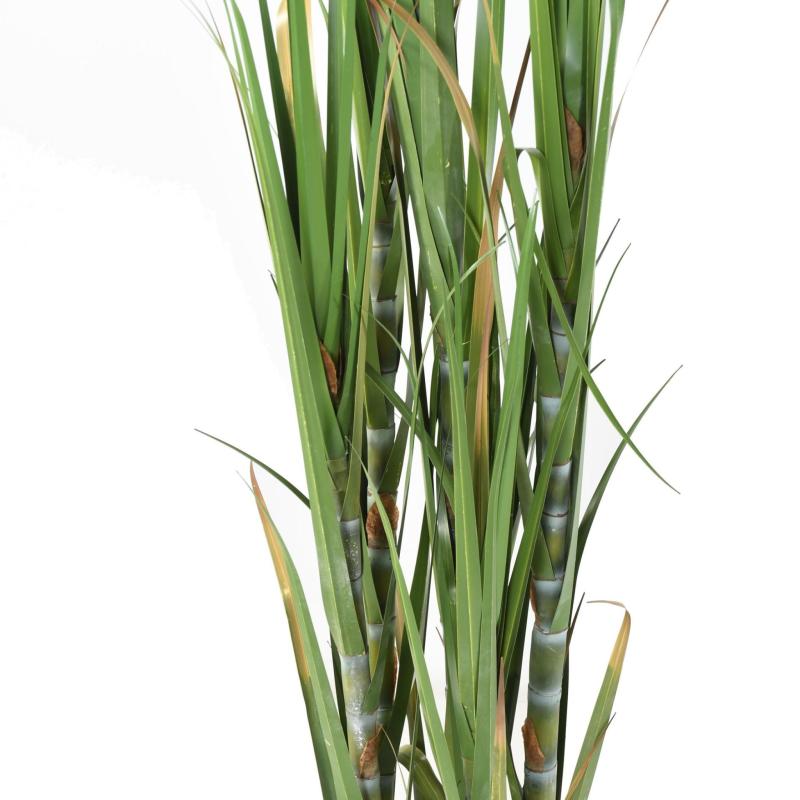 Canne à Sucre Artificielle