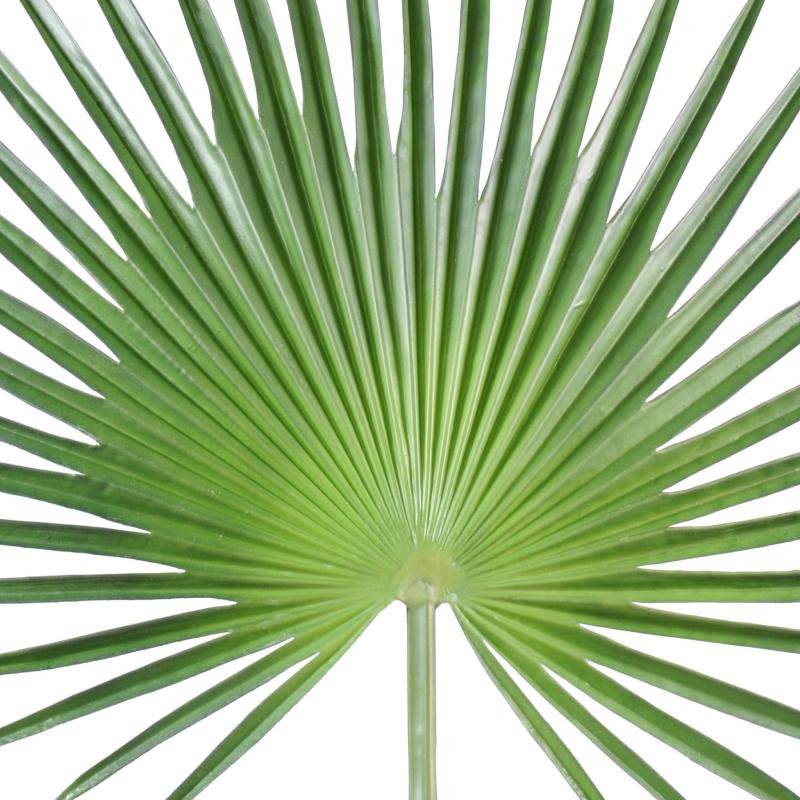 Palme Artificielle Palmier Camerus