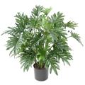 Philodendron Artificiel Selloum