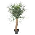 Beaucarnea Artificiel Recurvata
