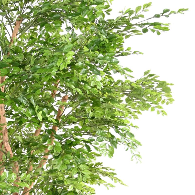 Acacia Artificiel