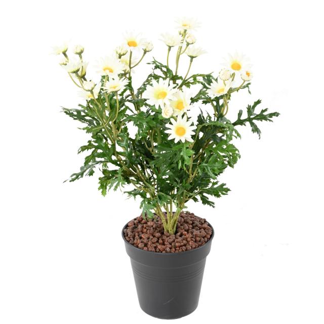 Marguerite Artificielle Anthemis *120*30