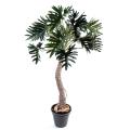 Philodendron Artificiel Selloum Arbre