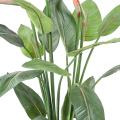 Strelitzia Artificiel 2fl 2bt