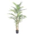 Areca PLAST Artificiel