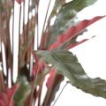 Calathea Artificiel Longues Feuilles