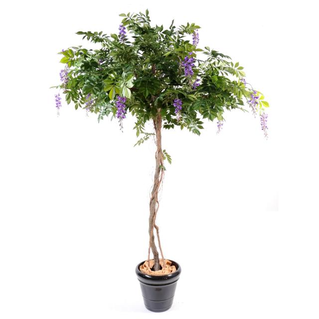 Glycine Artificielle Round