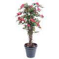 Bougainvillée Artificiel NEW Lianes