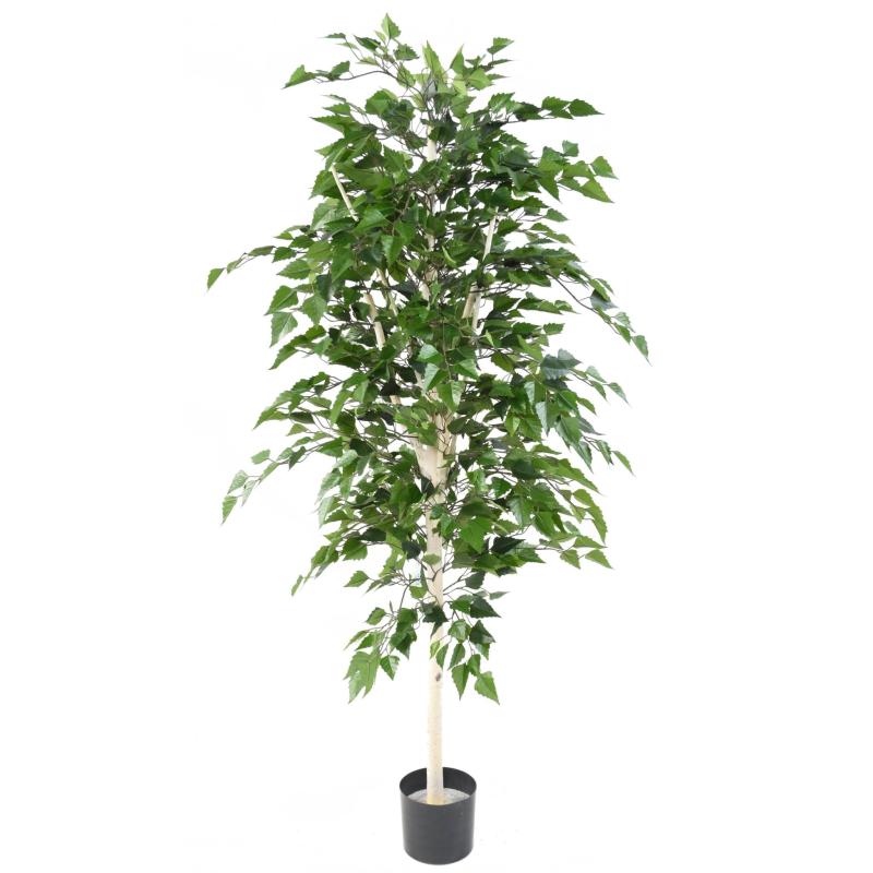 Bouleau Artificiel TB
