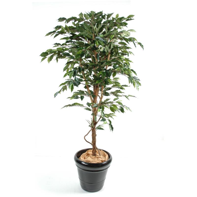 Ficus Artificiel Tronc Simple GF
