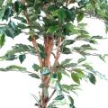 Ficus Artificiel Tronc Simple GF