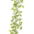 Tradescantia Artificiel Guirlande