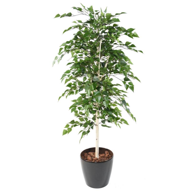 Bouleau Artificiel TB