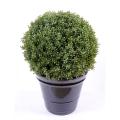 Buis Artificiel Boule Regular NEW