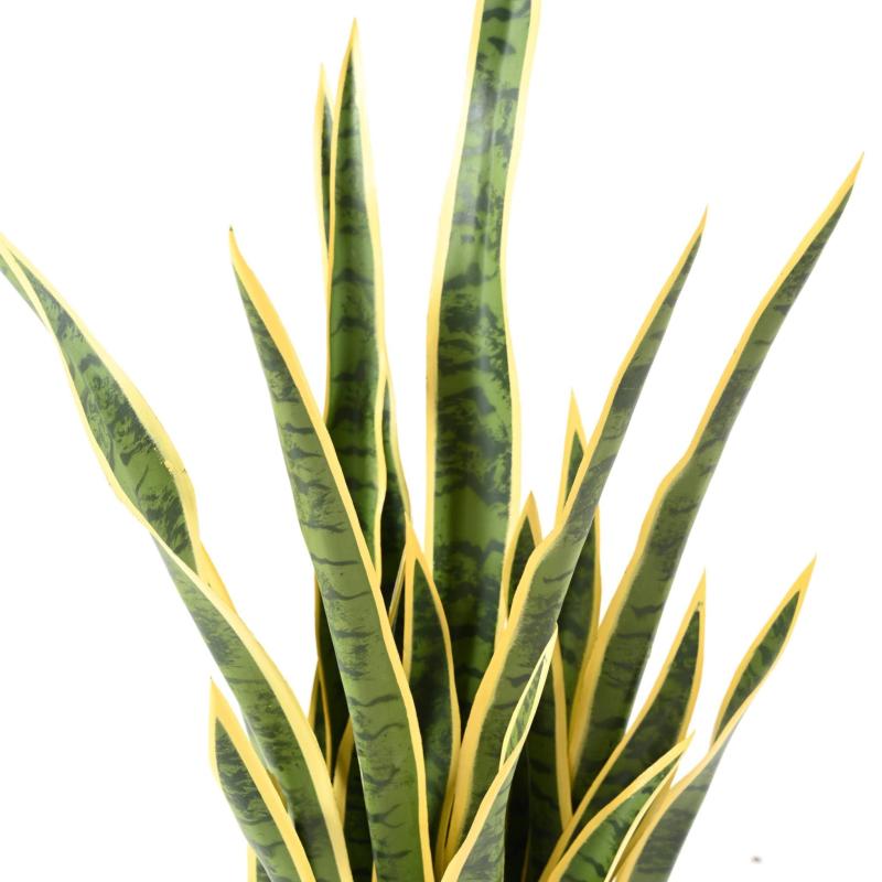 Sansevieria Artificiel