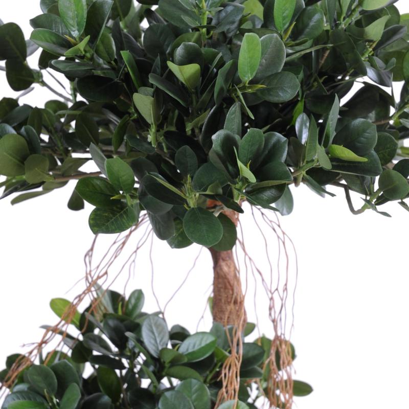 Ficus Artificiel Panda NEW 170