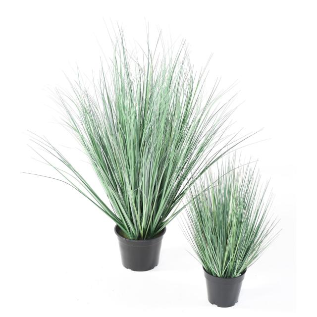 Onion Artificiel Grass NEW