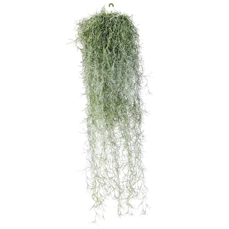Tillandsia Artificiel (mousse Espagnole)