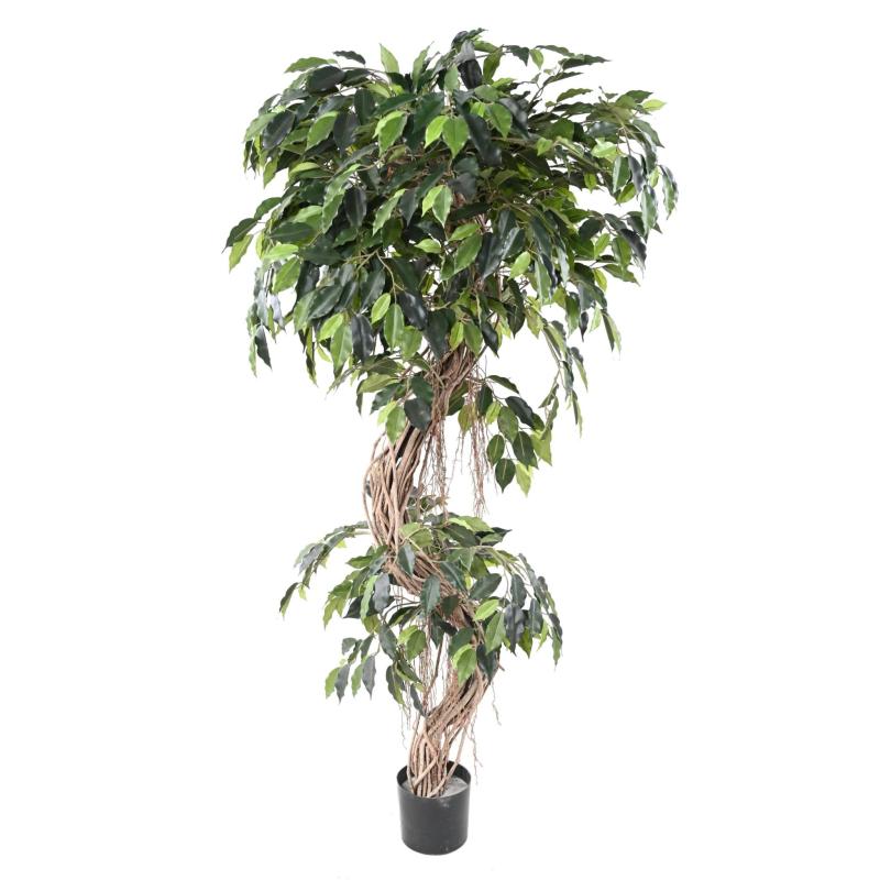 Ficus Artificiel S
