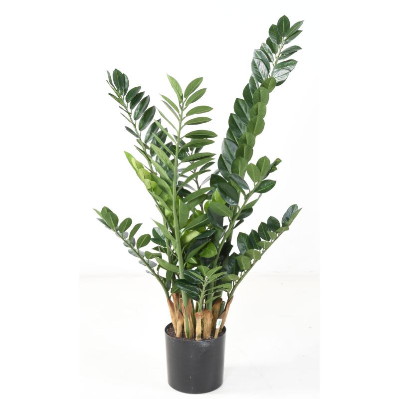 Zamia Artificiel 110