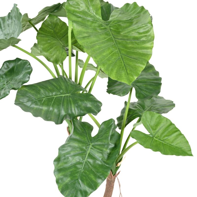 Alocasia Artificiel Calidora 2T