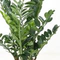 Zamia Artificiel 110