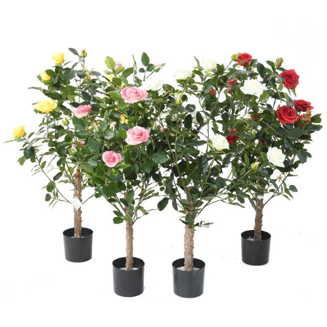Rosier Artificiel Royal