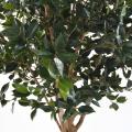 Fruitier Arbre 270 Artificiel