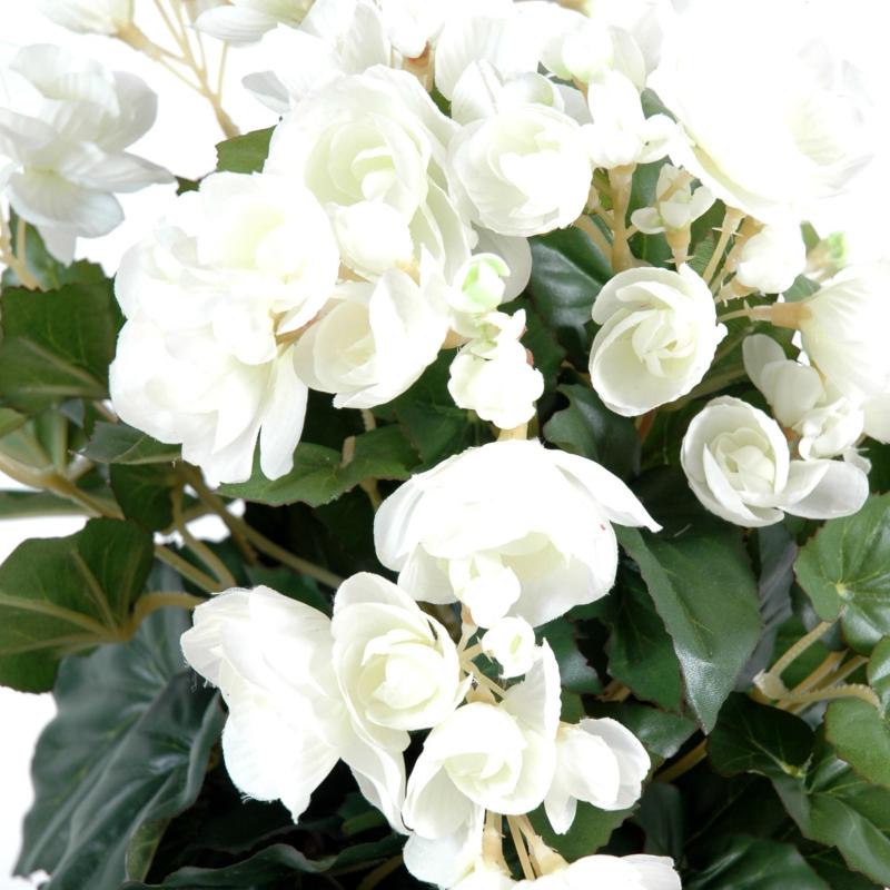 Begonia Artificiel*94