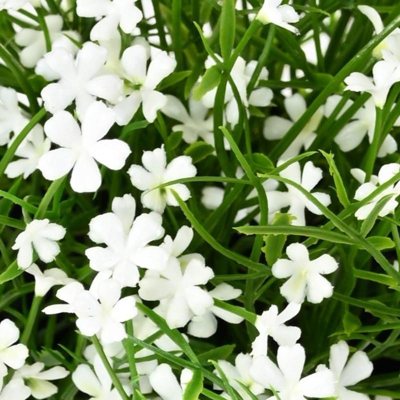 Marguerite Artificielle Mini 20 Pot