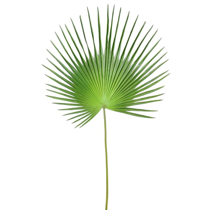 Palme Artificielle Palmier Camerus