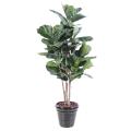 Lyrata Artificiel Tige