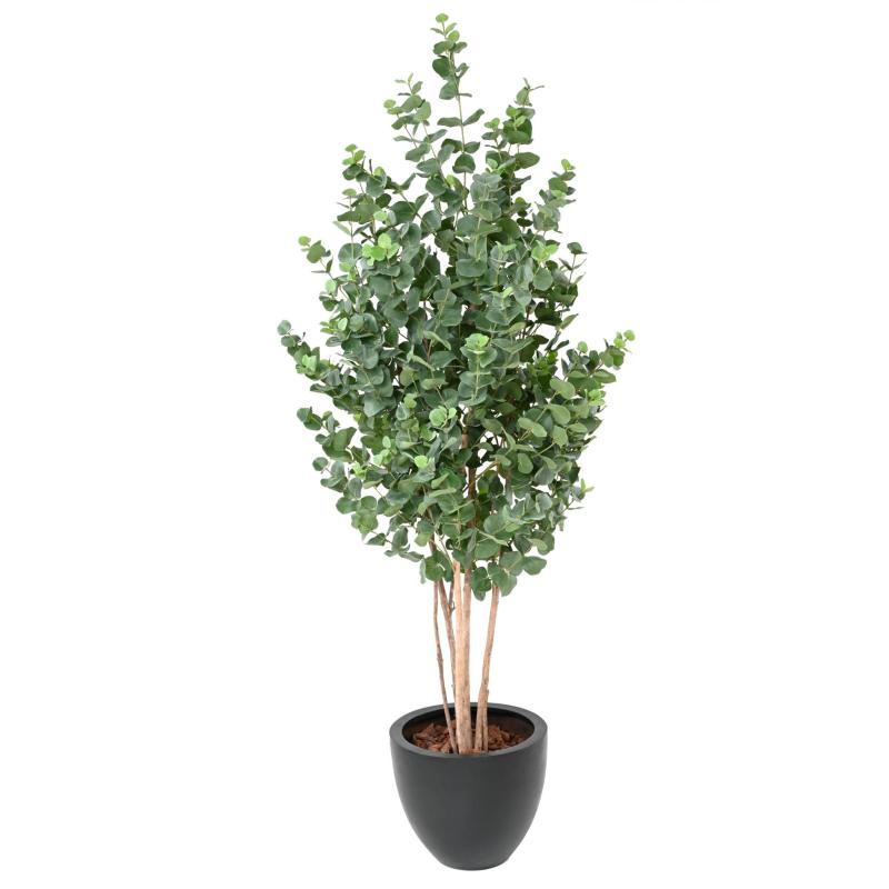 Eucalyptus Artificiel Gunnii Buisson