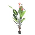 Strelitzia Artificiel 11f 3fl 150