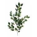 Ficus Artificiel Exotica Spray*101