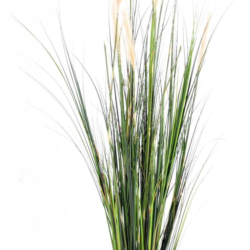 Carex Artificiel GF