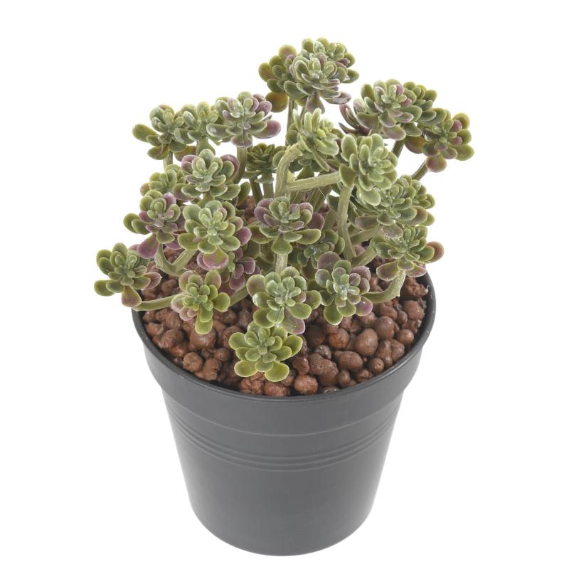 Succulente *34 Artificielle