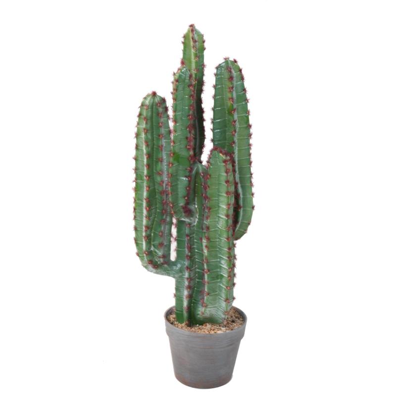 Cactus Artificiel 77