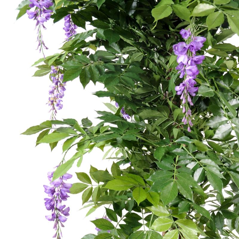 Glycine Artificielle Multi TREE