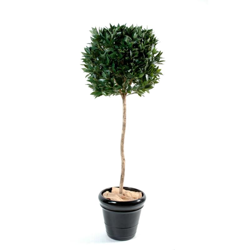 Laurier Artificiel Boule Tige UV