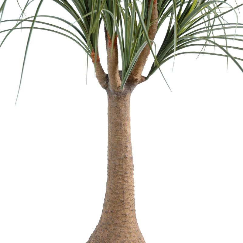 Beaucarnea Artificiel