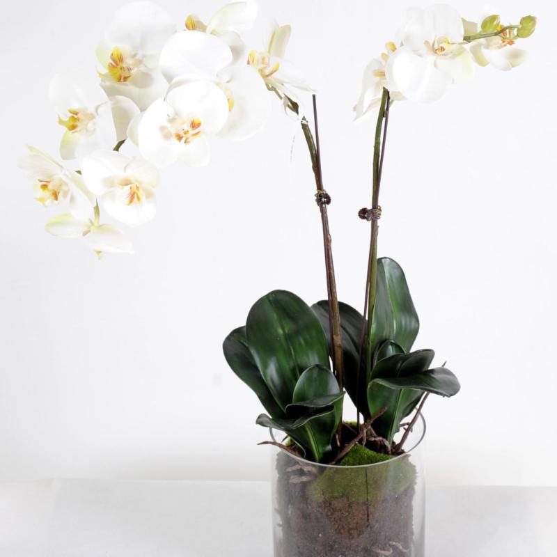 Phalaenopsis Artificielle Vase Rond