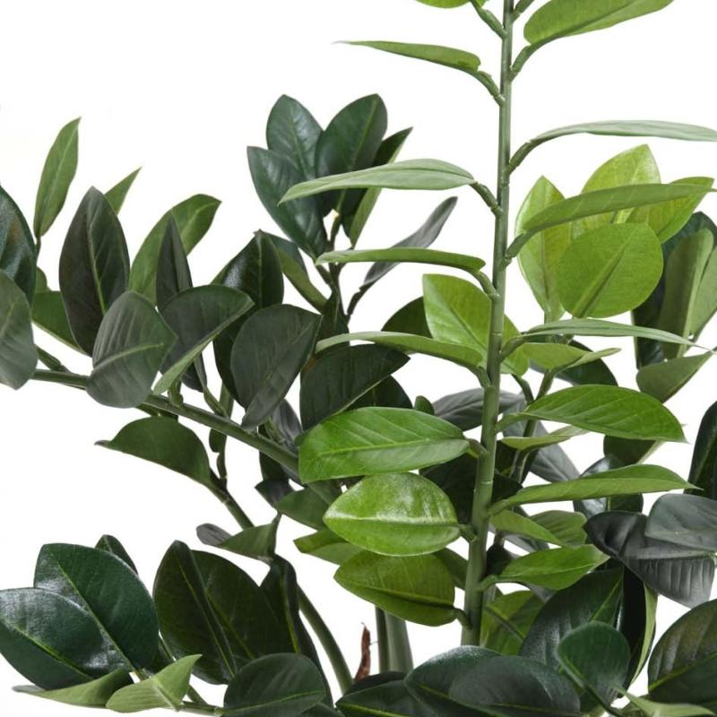 Zamia Artificiel