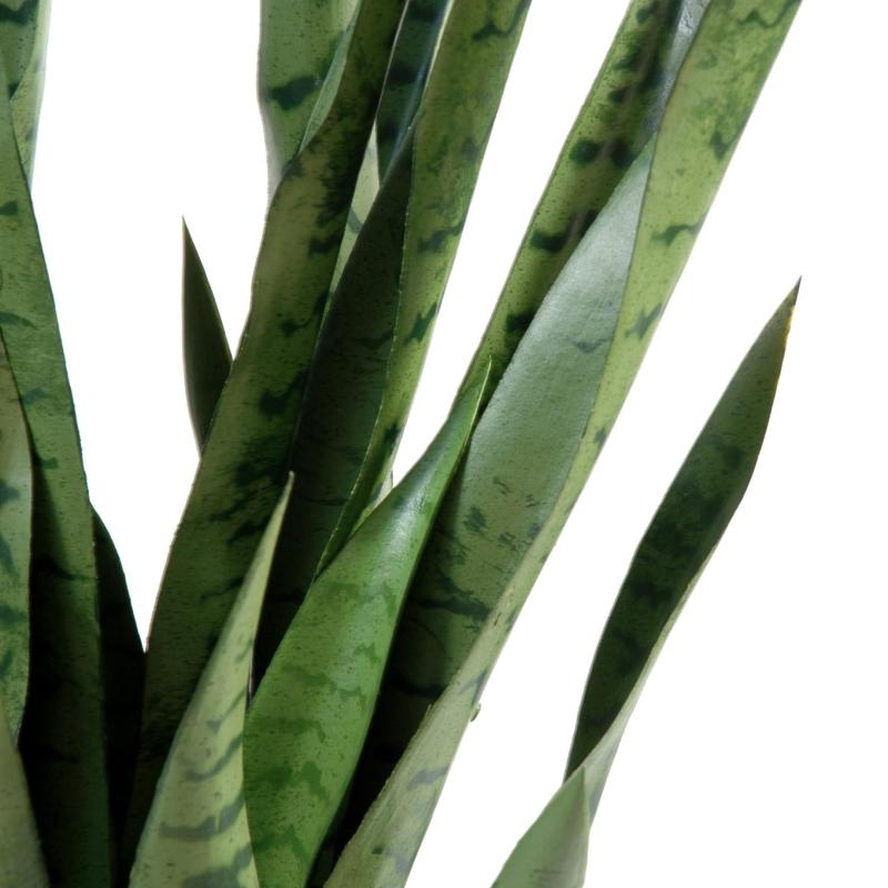 Sansevieria Artificiel