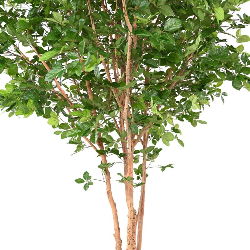 Hetre Artificiel Grandifolia TREE 350