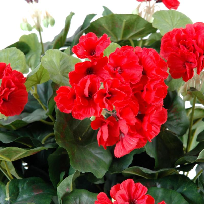 Geranium Artificiel*115
